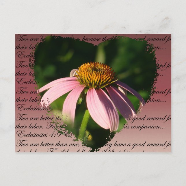 Coneflower with friendship verse postcard (Front)