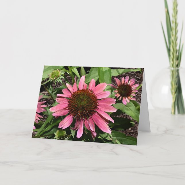 Coneflowers Greeting Card (Front)