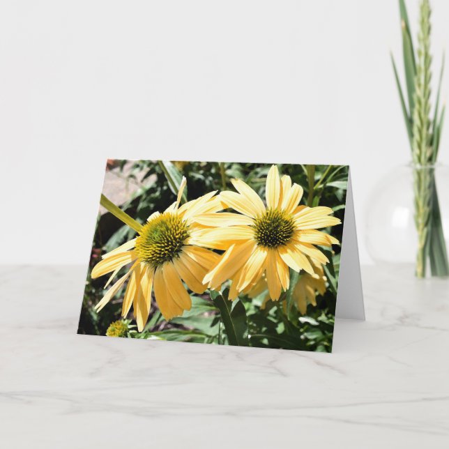 Coneflowers Greeting Card (Front)