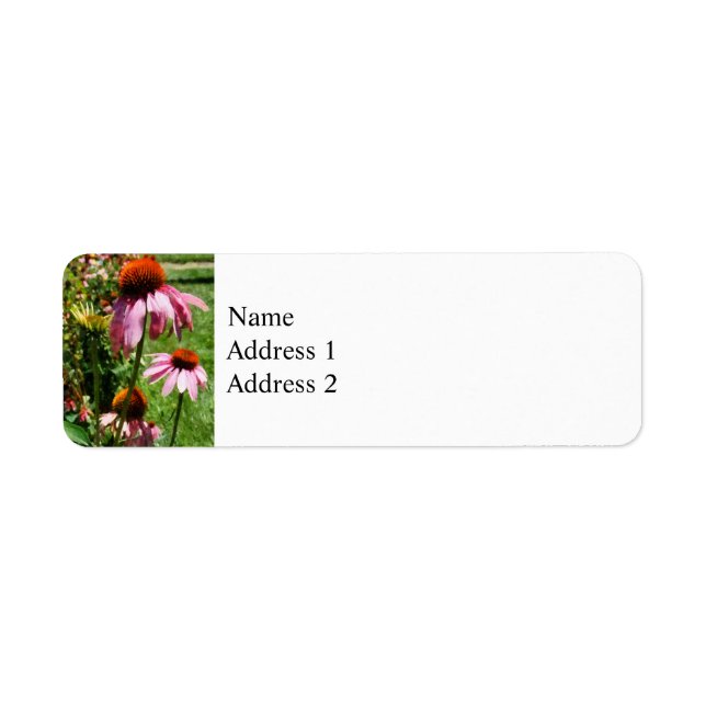 Coneflowers in Garden (Front)