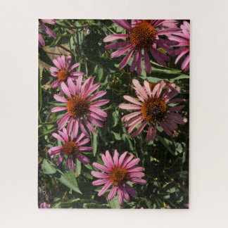 Coneflowers Jigsaw Puzzle