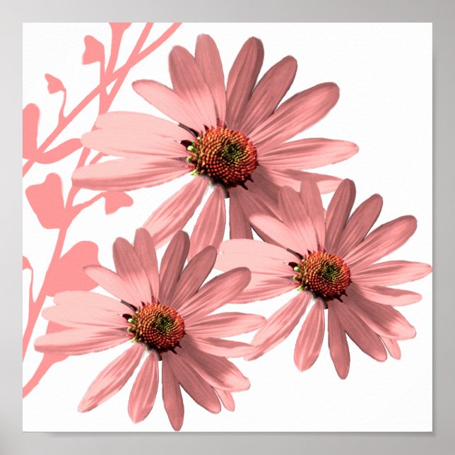 ConeFlowers Poster (Front)
