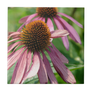 Coneflowers Tile
