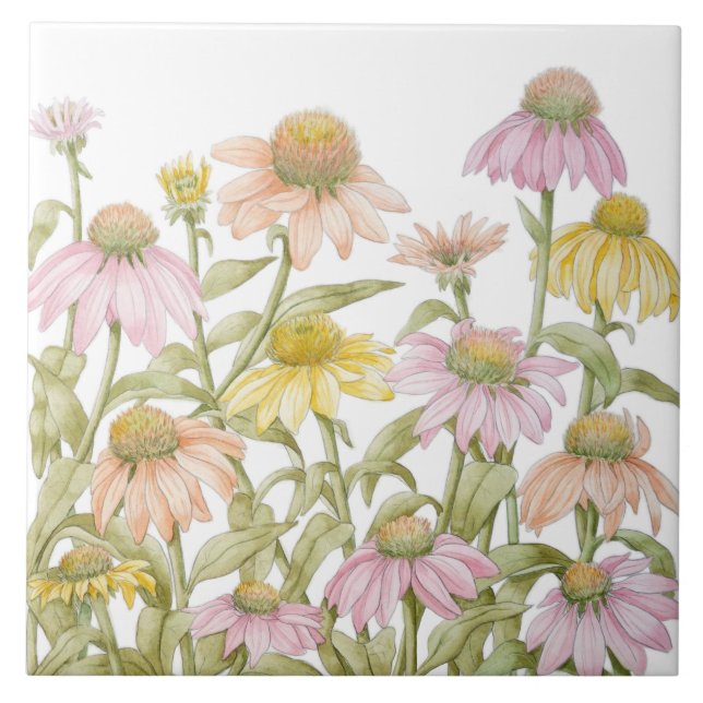 Coneflowers Watercolor Botanical Art Tile (Front)