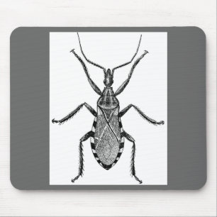 Conenose Bug - Vintage Mouse Mat