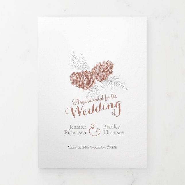 Cones brown grey winter autumn wedding Tri-Fold programme (Cover)