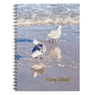 Coney Island Seagulls Notebook