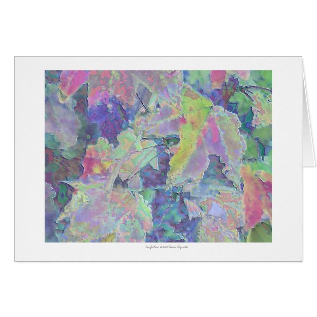 Confection (Front Horizontal)