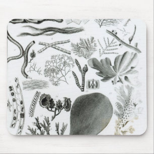 Conferra Fucus Mouse Mat