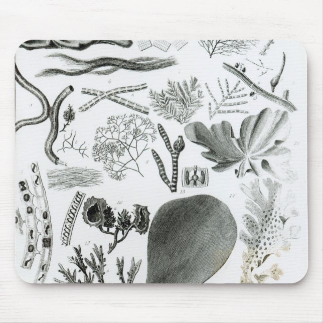 Conferra Fucus Mouse Mat (Front)