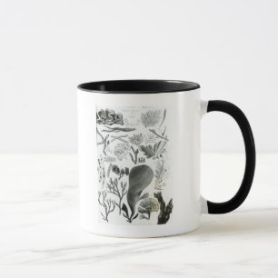 Conferra Fucus Mug