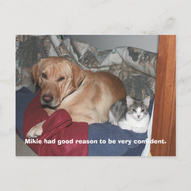 Confidence Postcard (Front)