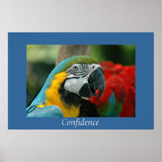 Confidence Poster