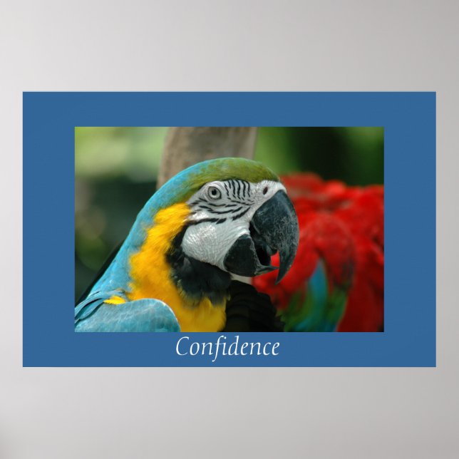 Confidence Poster (Front)