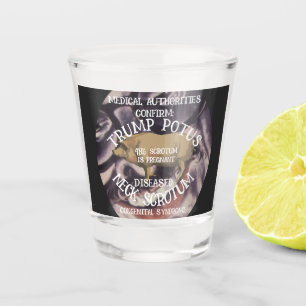 CONFIRMED TRUMP'S NECK SCROTUM IS PREGNANT SHOT GLASS