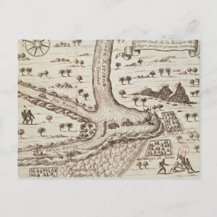 Confluence of the Niger Postcard
