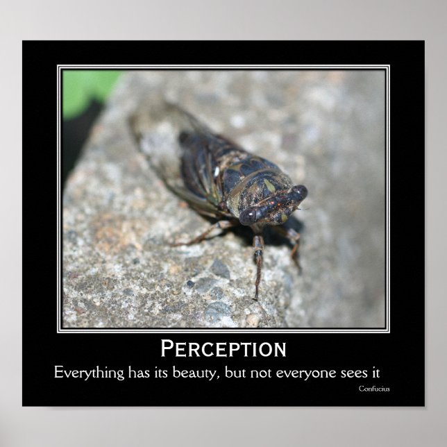 Confucius Quote Beauty Cicada Motivational Poster (Front)