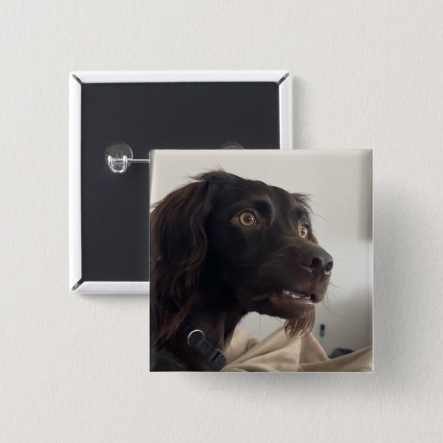 Confused Dog Meme Pin Button (Front & Back)