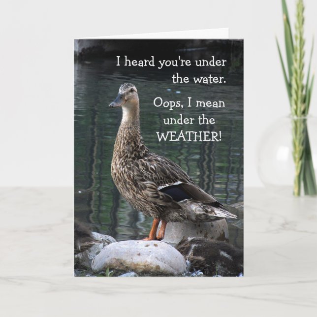 Confused Duck Get Well Card (Front)