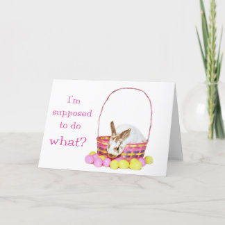 Confused Easter Bunny Holiday Card