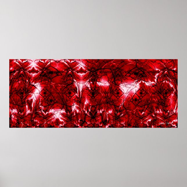 Confused Ornamentation Poster (Front)