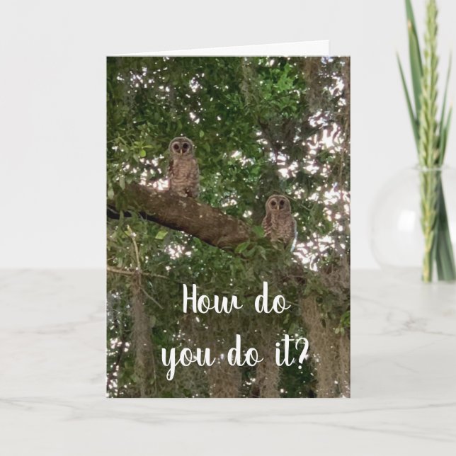 CONFUSED OWLS DON'T KNOW "HOW YOU DO IT" 40th Card (Front)