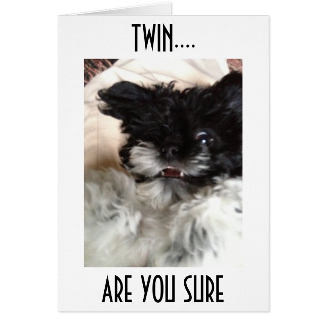 CONFUSED PUP SAYS HOW CAN YOU BE **60** TWIN? (Front)