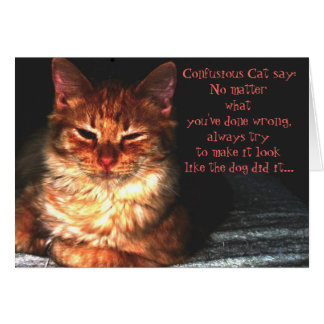 Confusious Cat say: