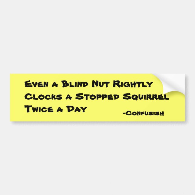 Confusish says Blind Nut Squirtels Away Time Twice Bumper Sticker (Front)