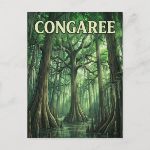 Congaree Forest Postcard