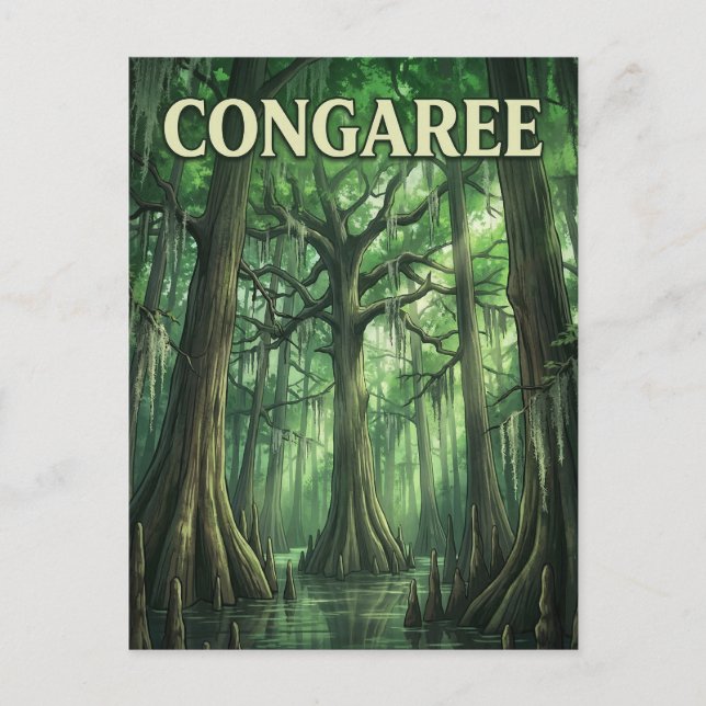 Congaree Forest Postcard (Front)