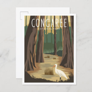 Congaree National Park South Carolina Illustration Postcard