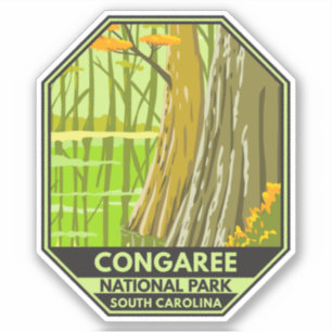 Congaree National Park South Carolina Retro