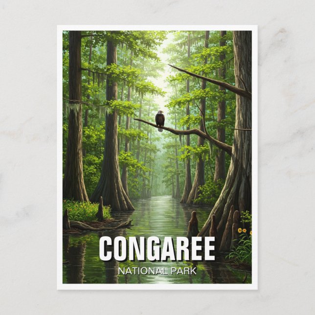 Congaree National Park South Carolina Travel Postcard (Front)