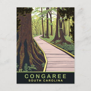 Congaree National Park South Carolina, Travel Postcard