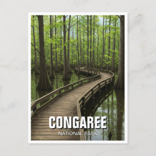 Congaree National Park South Carolina Travel Postcard