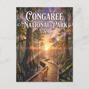 Congaree National Park USA Postcard