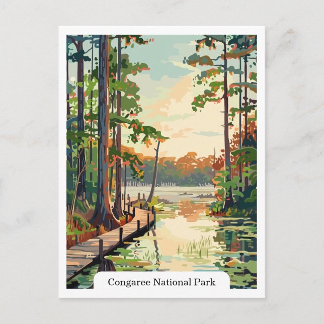 Congaree National Park USA Postcard (Front)