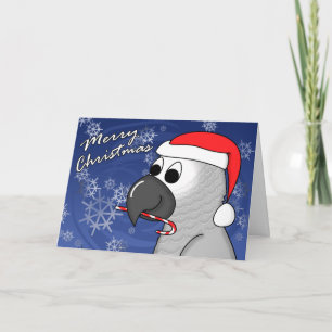 Congo African Grey Christmas Card