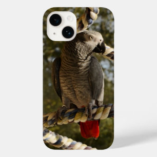 Congo African Grey on a Swing Case-Mate iPhone Cas Case-Mate iPhone 14 Case