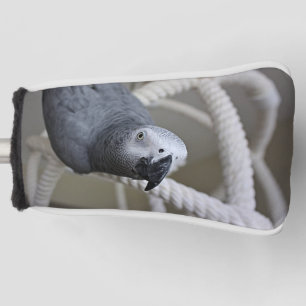 Congo African Grey Parrot Having Fun Golf Head Cover