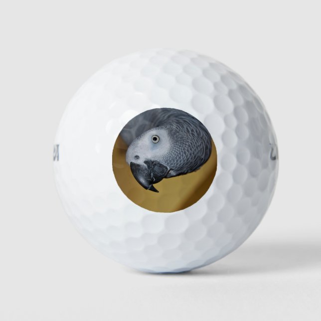 Congo African Grey Parrot Hello Golf Balls (Front)