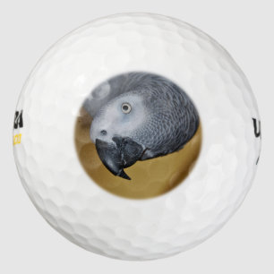Congo African Grey Parrot Hello Golf Balls