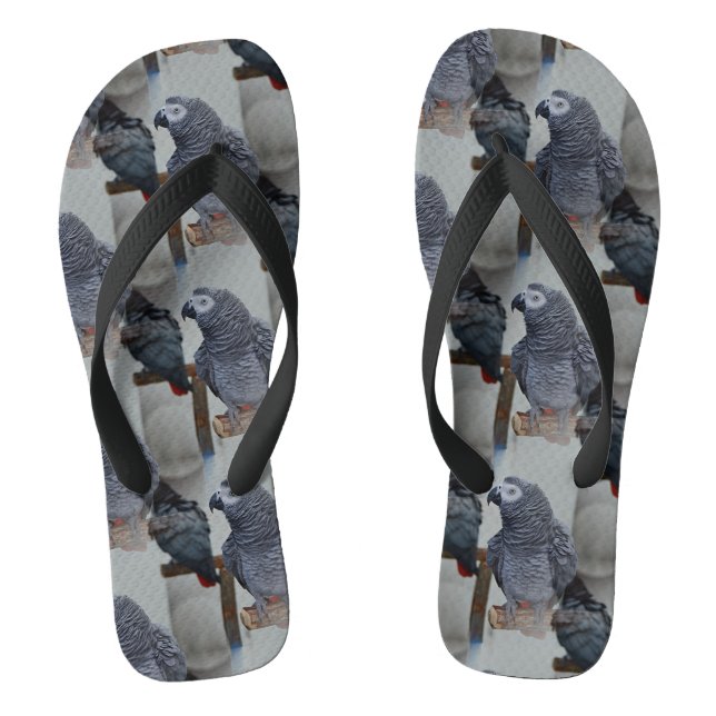 Congo African Grey Parrot in Mirror Flip Flops (Footbed)