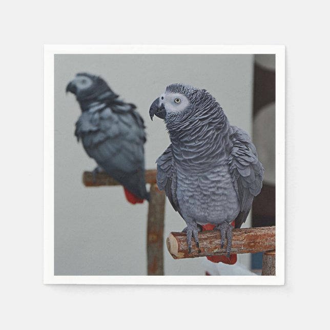 Congo African Grey Parrot in Mirror Napkin (Front)