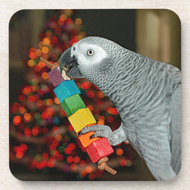 Congo African Grey Parrot Merry Christmas Tree Coaster (Front)