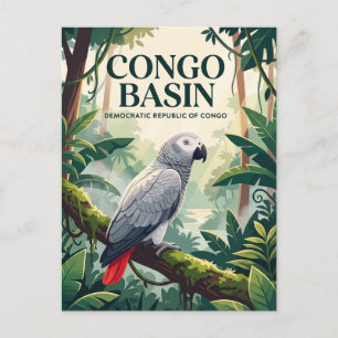Congo Basin Democratic Republic of Congo Postcard