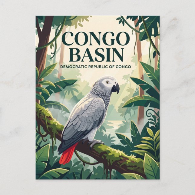Congo Basin Democratic Republic of Congo Postcard (Front)