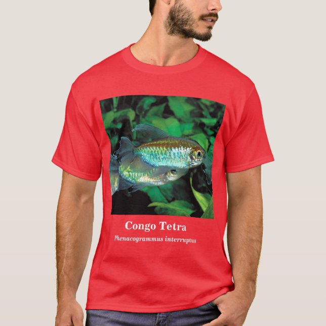 Congo tetra , Phenacogrammus interruptus T-Shirt (Front)