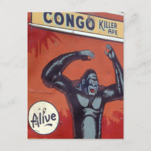 Congo the killer ape Circus sideshow Postcard
